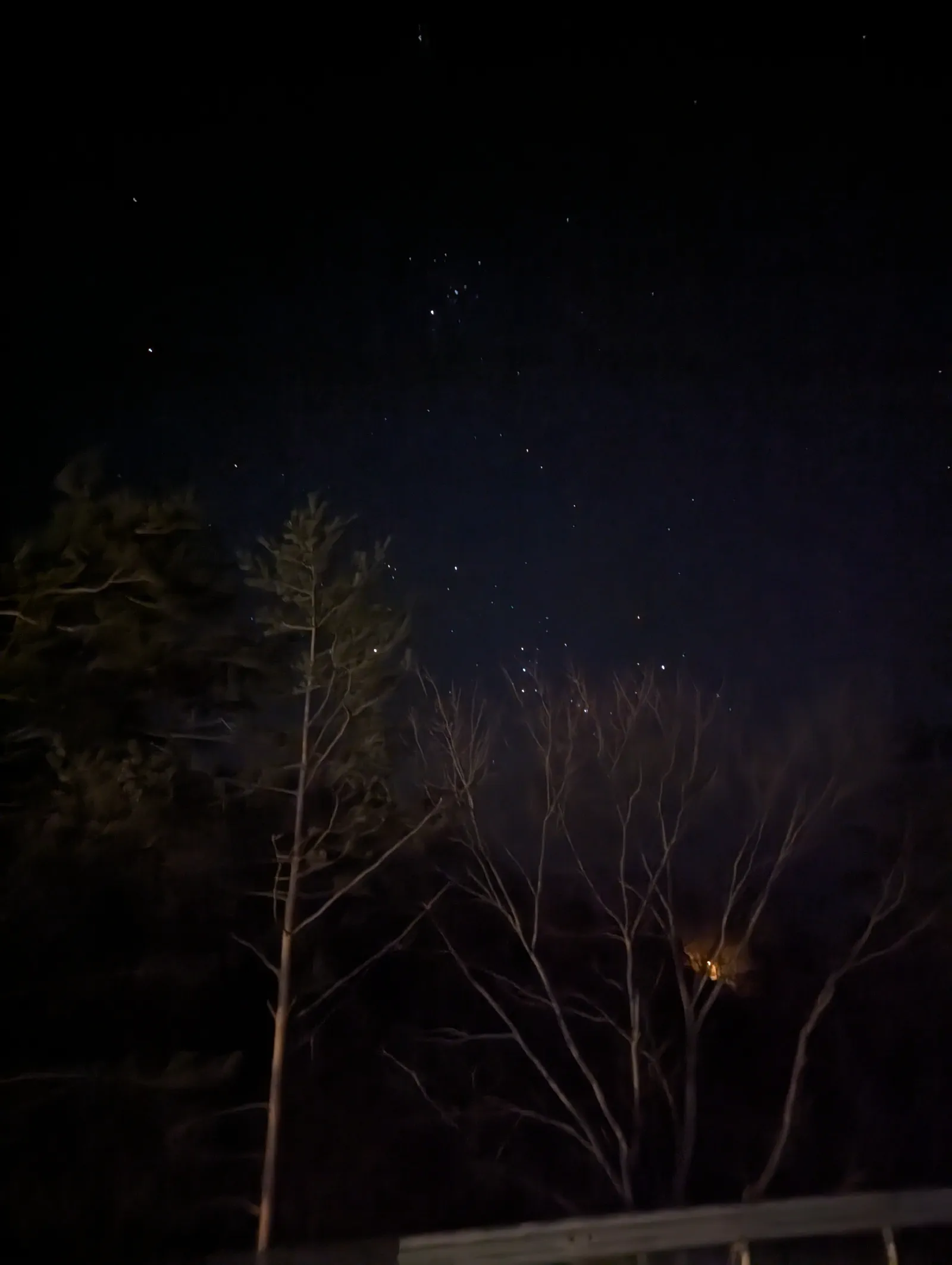 試著用手機拍下的星空,可見獵戶座
