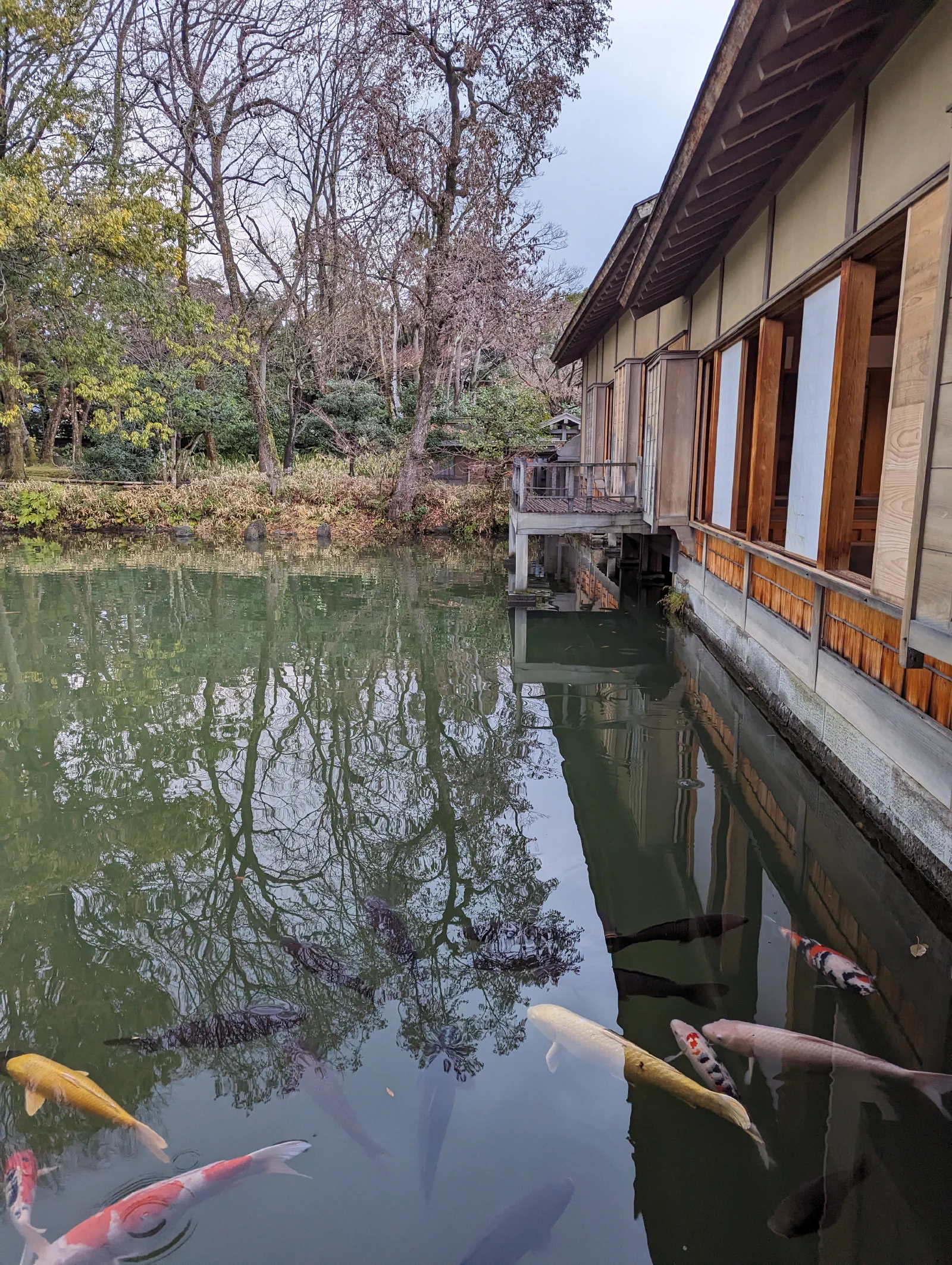 養浩館庭園屋內拍攝的照片