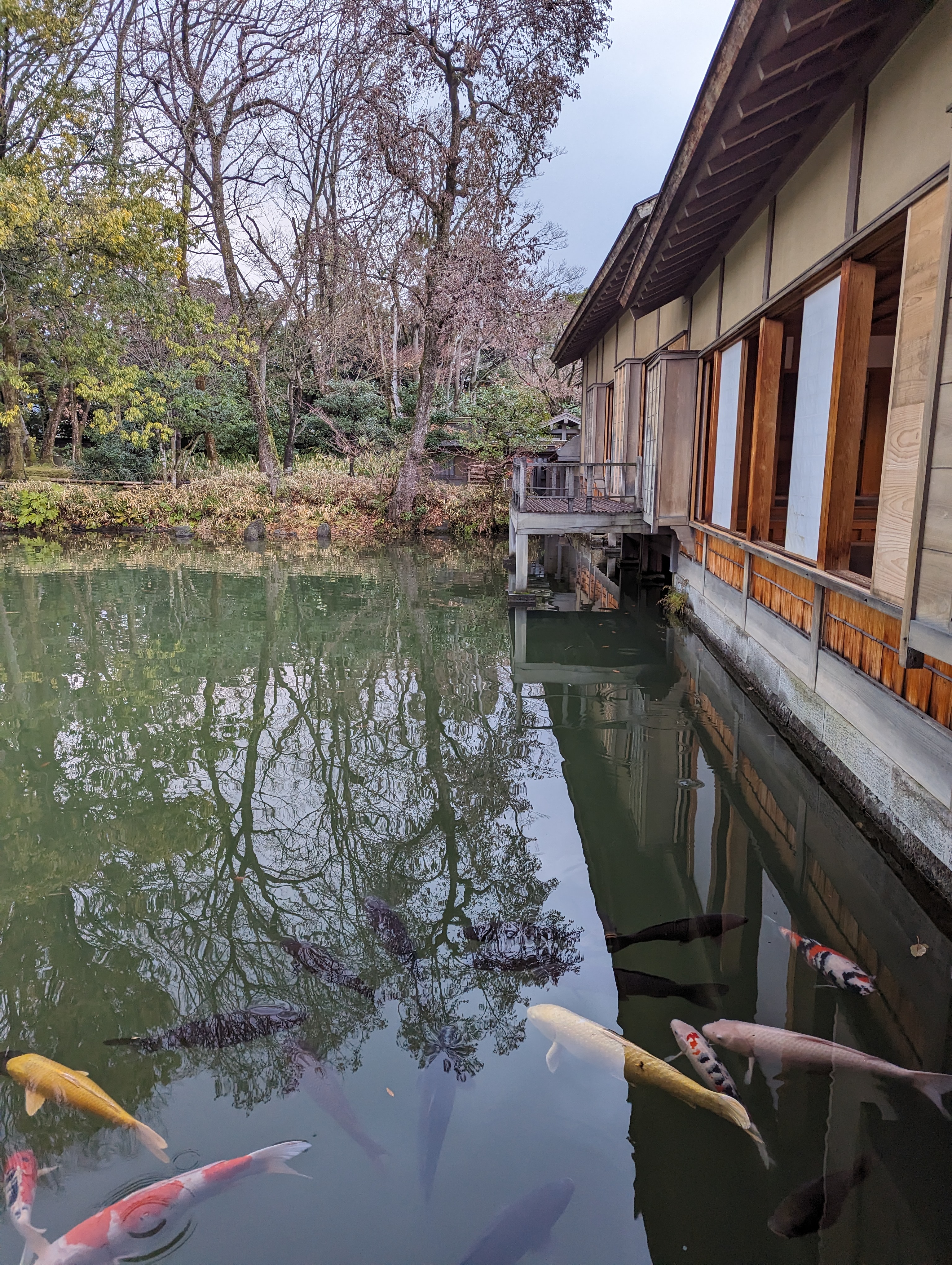 養浩館庭園屋內拍攝的照片